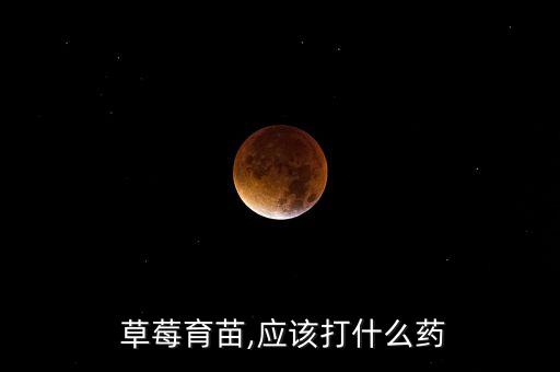 草莓育苗,應該打什么藥