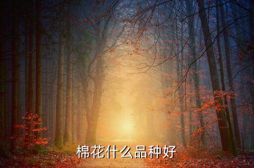 嘉祥出產的農藥是什么藥