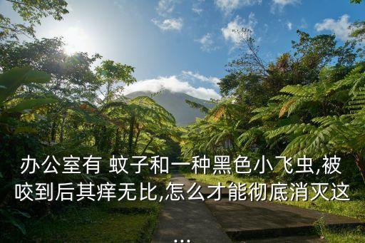 什么農藥殺死黑蚊子蟲最快