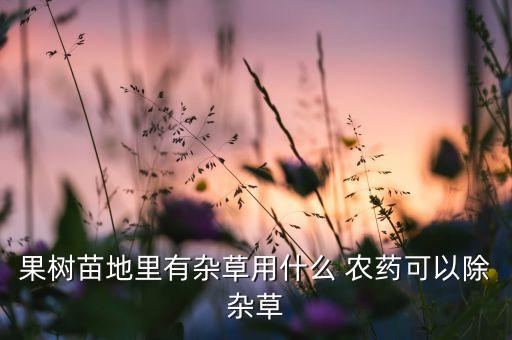 果樹苗地里有雜草用什么 農藥可以除雜草