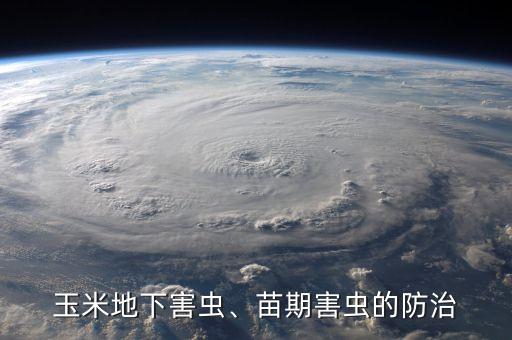 玉米地下害蟲、苗期害蟲的防治