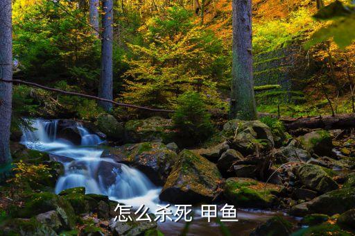 什么農藥可以毒翻甲魚