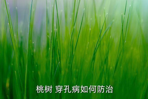  桃樹 穿孔病如何防治