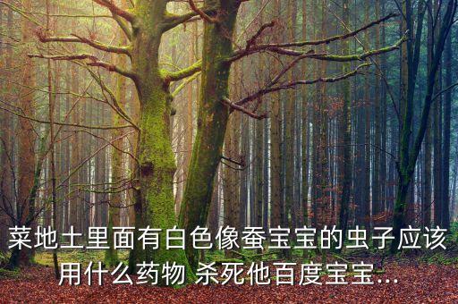殺死土蠶的農(nóng)藥是什么,土蠶用什么農(nóng)藥殺死