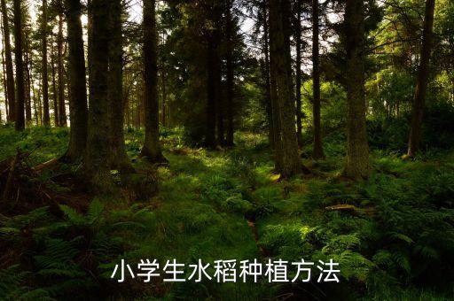 單季晚稻收獲前打什么農藥