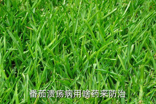 番茄潰瘍病用啥藥來防治