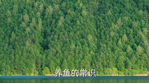 水田養魚最怕什么農藥殘留