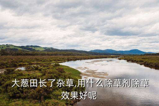 大蔥打什么農藥啊能殺死,大蔥防病用什么農藥