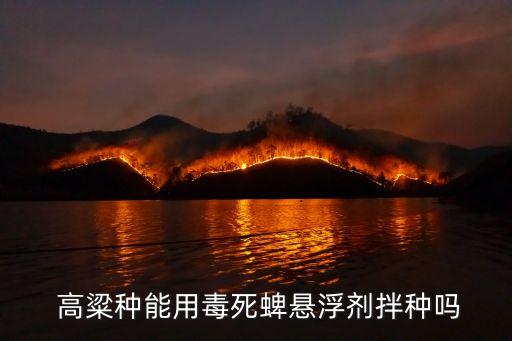 高粱種能用毒死蜱懸浮劑拌種嗎