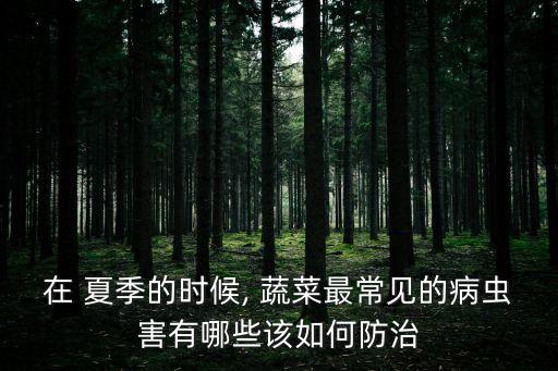 在 夏季的時候, 蔬菜最常見的病蟲害有哪些該如何防治