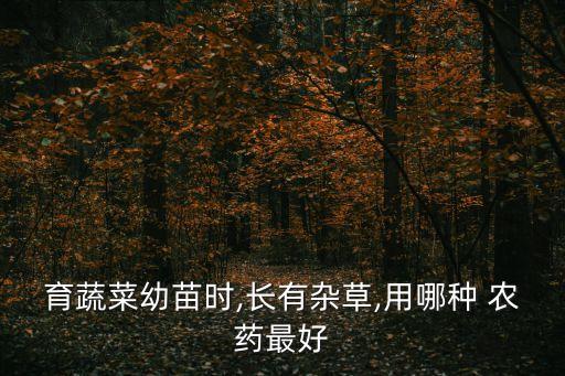 農民噴農藥的機器叫什么,農民使用什么農藥好使呢