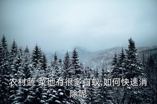 農村蔬 菜地有很多白蟻,如何快速消除呢