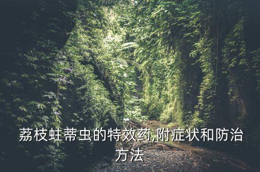 荔枝花打什么農藥防蟲吃,荔枝用什么農藥殺稍