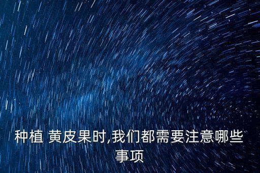 黃皮噴什么農(nóng)藥促花,黃皮果打什么農(nóng)藥