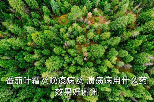 番茄葉霜及晚疫病及 潰瘍病用什么藥效果好謝謝