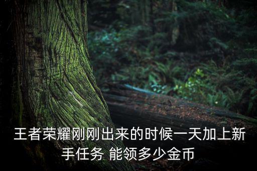 王者農藥能領什么