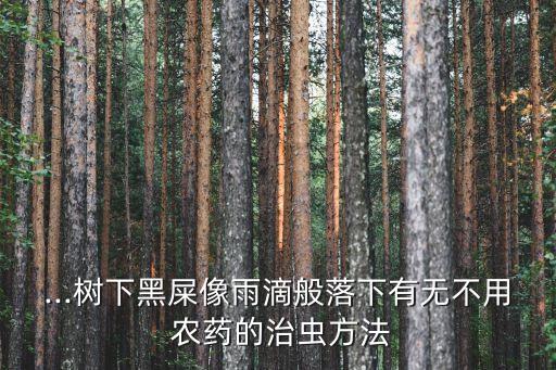 ...樹下黑屎像雨滴般落下有無不用 農(nóng)藥的治蟲方法