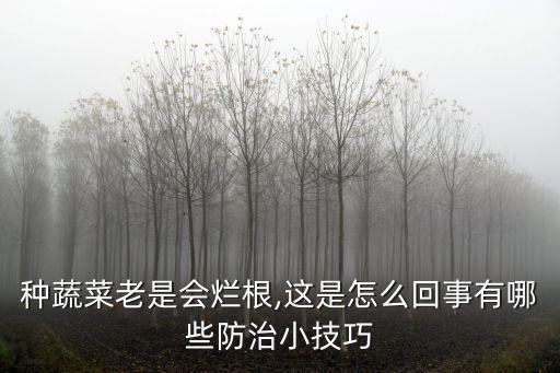 防爛根用什么農(nóng)藥,什么東西防花爛根最有效