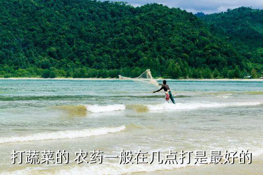 為什么晚上不能打農(nóng)藥呢,檸檬為什么需要打農(nóng)藥