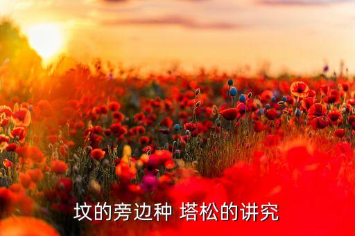 塔松最怕什么農藥