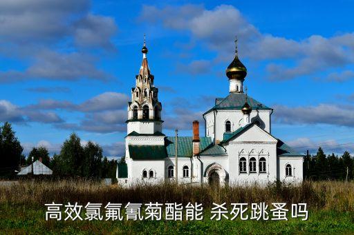 高效氯氟氰菊酯能 殺死跳蚤嗎