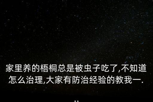 青桐木虱打什么農藥