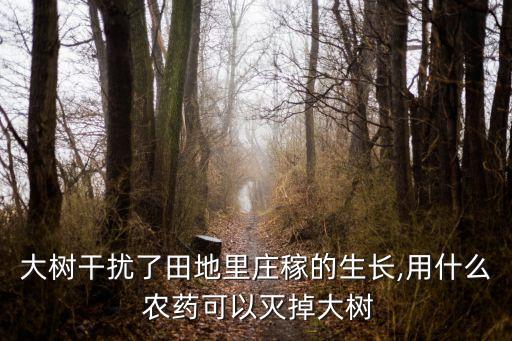 什么農藥不傷根系發達的樹