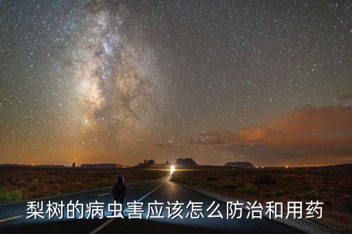 梨樹葉有了蟲打什么農藥