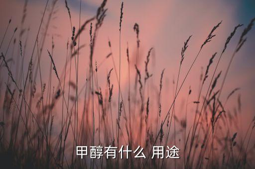 甲醇有什么 用途