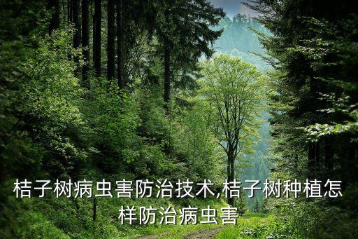 桔子樹病蟲害防治技術,桔子樹種植怎樣防治病蟲害