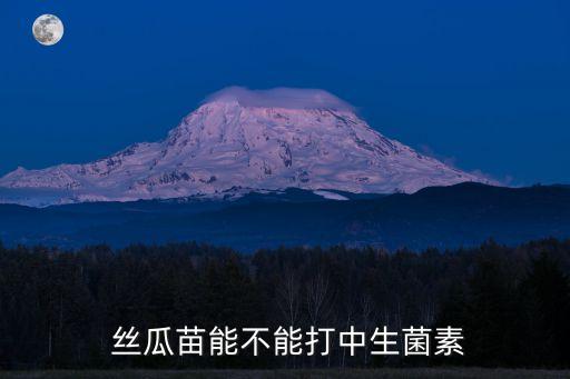 絲瓜苗能不能打中生菌素