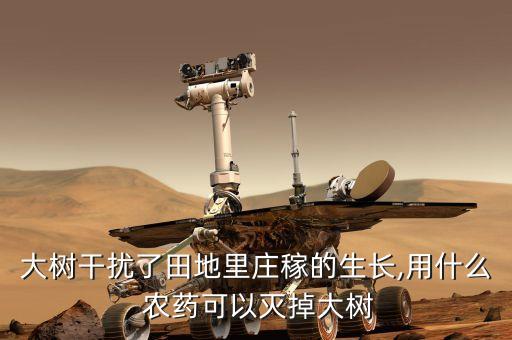 大樹干擾了田地里莊稼的生長,用什么 農藥可以滅掉大樹