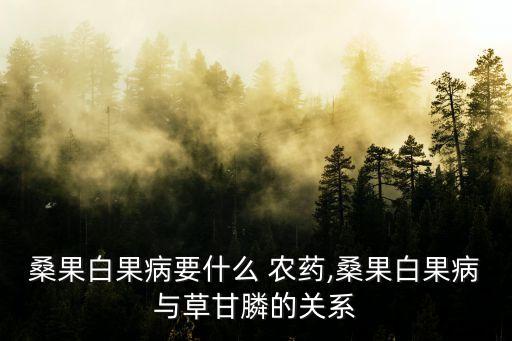 桑果白果病要什么 農藥,桑果白果病與草甘膦的關系