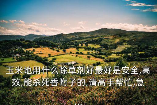 玉米地用什么除草劑好最好是安全,高效,能殺死香附子的,請高手幫忙,急...