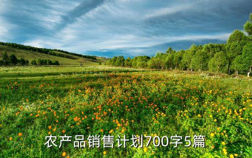 農(nóng)產(chǎn)品銷售計劃700字5篇