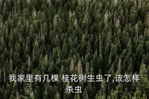 我家里有幾棵 桂花樹生蟲了,該怎樣殺蟲