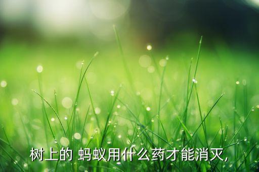 芋頭有螞蟻用什么農(nóng)藥,芋頭蟲用什么農(nóng)藥