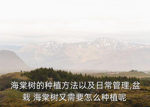 海棠樹用什么農藥最好