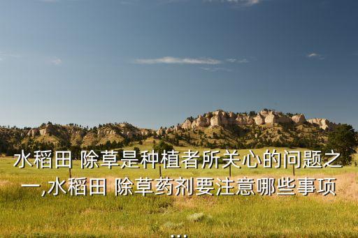 水稻田 除草是種植者所關心的問題之一,水稻田 除草藥劑要注意哪些事項...