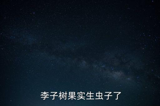  李子樹果實生蟲子了