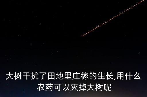 什么農藥不傷小樹苗