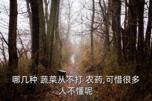 什么是無農(nóng)藥蔬菜,洗蔬菜用什么洗去農(nóng)藥