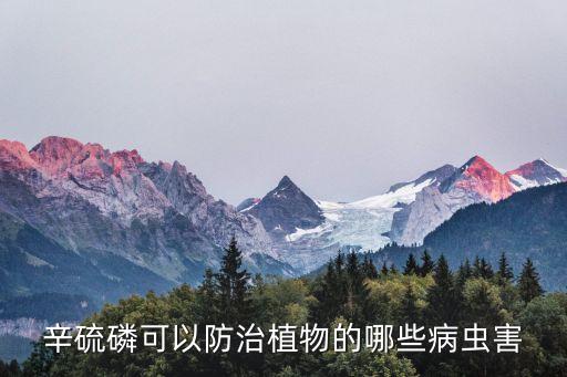 辛硫磷可以防治植物的哪些病蟲害
