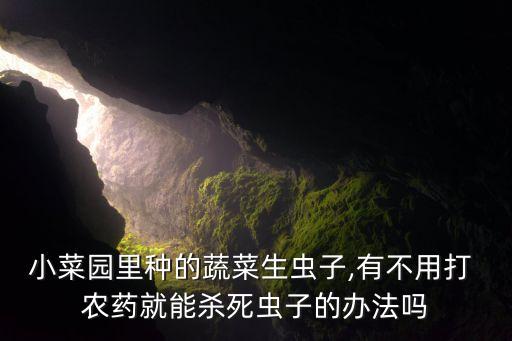 小菜園里種的蔬菜生蟲子,有不用打 農藥就能殺死蟲子的辦法嗎