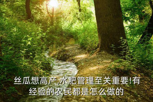  絲瓜想高產,水肥管理至關重要!有經驗的農民都是怎么做的