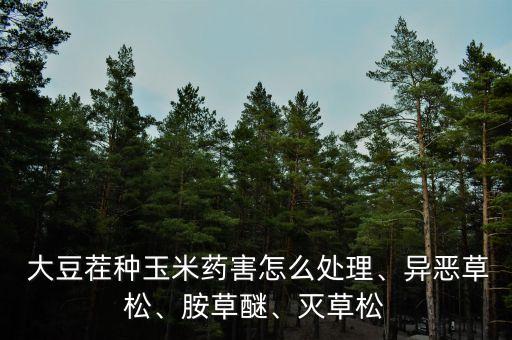 種植大豆最怕什么農(nóng)藥殘留