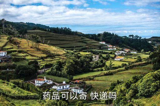 藥品可以寄 快遞嗎