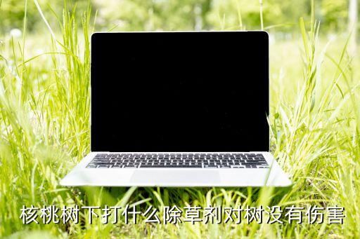 核桃樹采摘后用什么農(nóng)藥,什么農(nóng)藥能殺死核桃樹