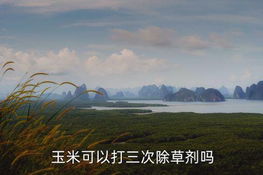 玉米可以打三次除草劑嗎