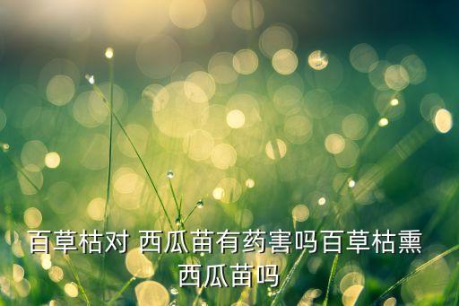 西瓜小苗要打什么農(nóng)藥